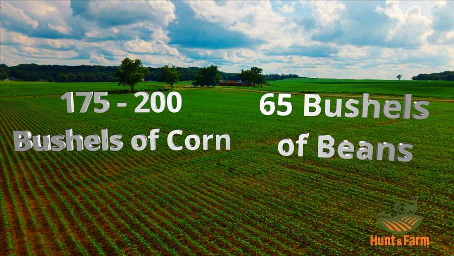 37.5 acres Turn-Key Crop Ground